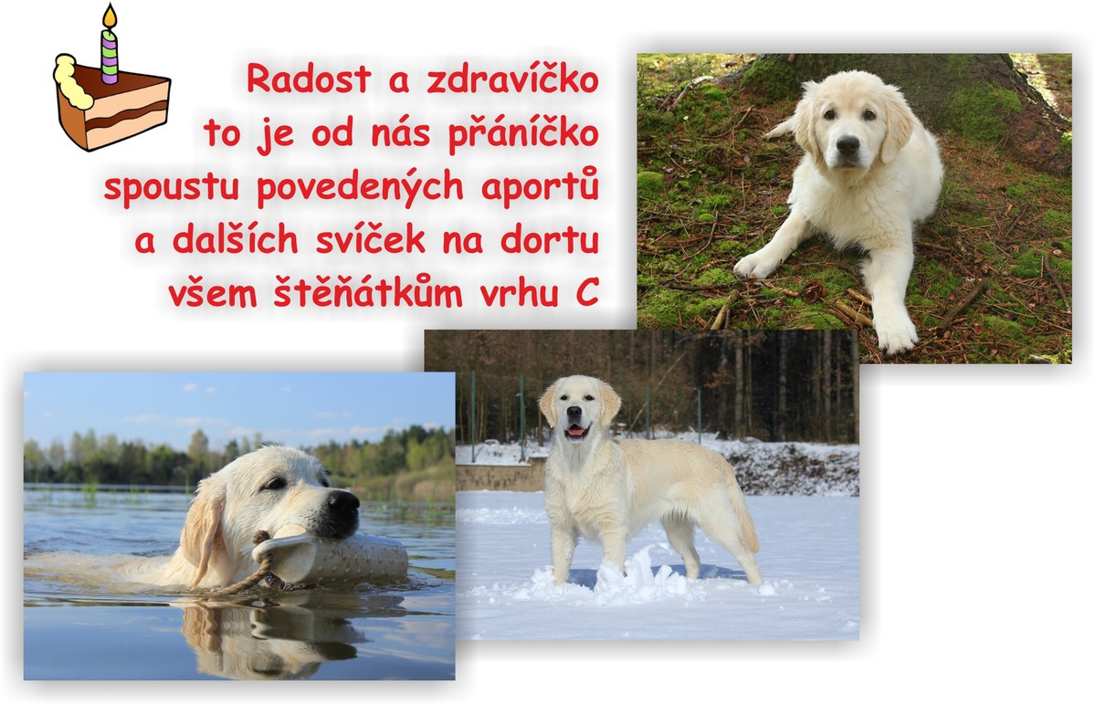vrh-c_narozeniny.jpg