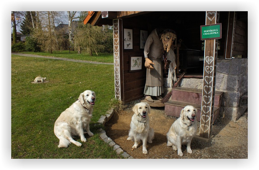 61---retrivri-u-pernikove-chaloupky.jpg