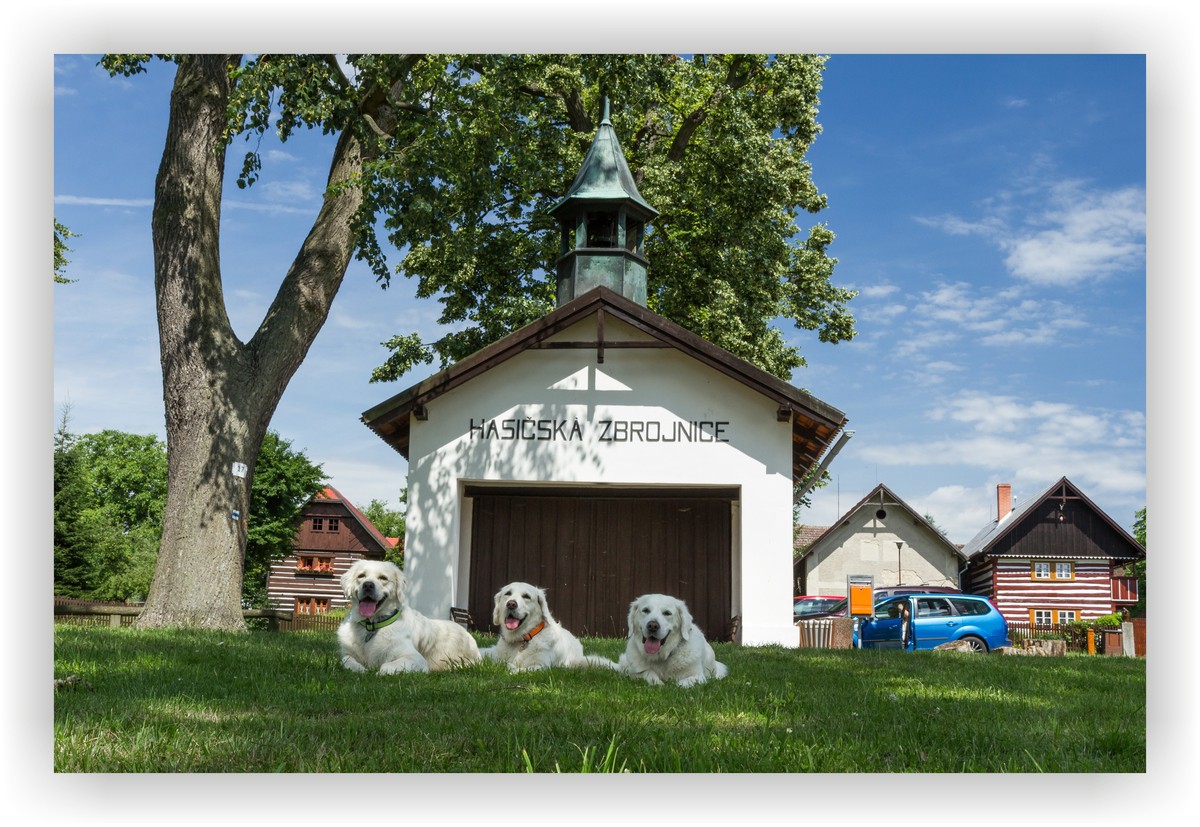 vesec--retrivri-pred-hasicskou-zbrojnici.jpg