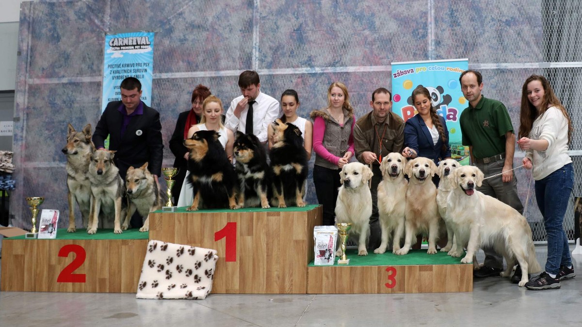 chovatelska-skupina-ov-cb-2017.jpg