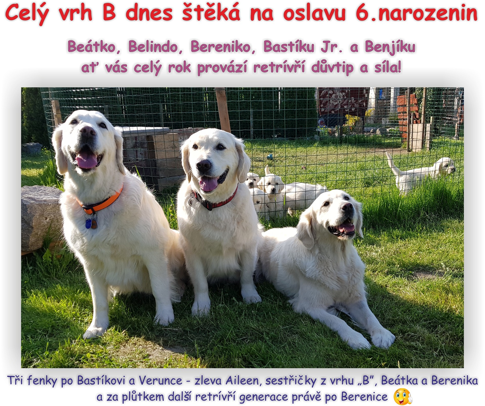 vrh-b_narozeniny-2018.jpg